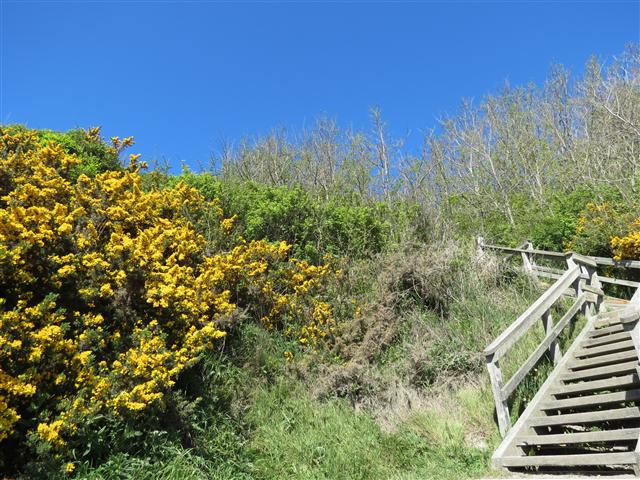 Scenery from Beacon Park in south Victoria, BC ( 15 of 23) (#0717)