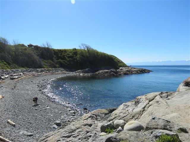 Scenery from Beacon Park in south Victoria, BC ( 16 of 23) (#0718)