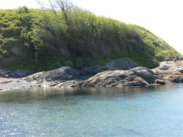 Scenery from Beacon Park in south Victoria, BC ( 17 of 23) (#0719)