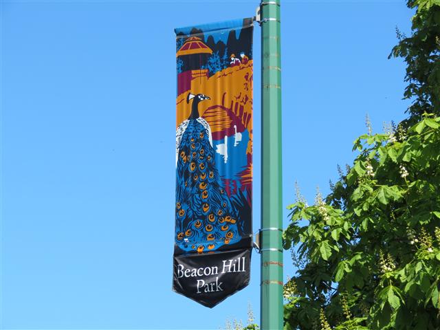 Scenery from Beacon Park in south Victoria, BC ( 1 of 23) (#0722)