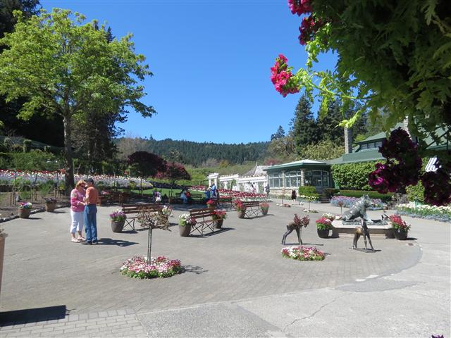 Beyond Flowers at Butchart Gardens north of Victoria, BC ( 1 of 28) (#0730)
