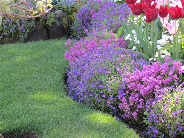 Flowers at Butchart Gardens north of Victoria, BC ( 14 of 70) (#0741)