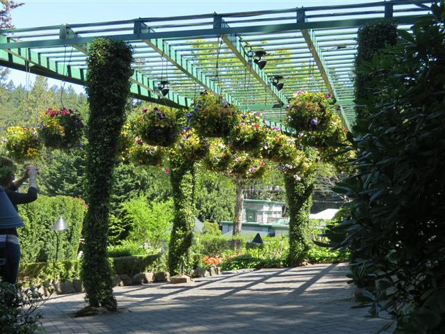 Beyond Flowers at Butchart Gardens north of Victoria, BC ( 4 of 28) (#0762)