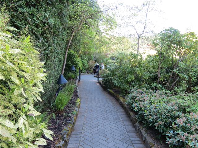 Beyond Flowers at Butchart Gardens north of Victoria, BC ( 5 of 28) (#0763)