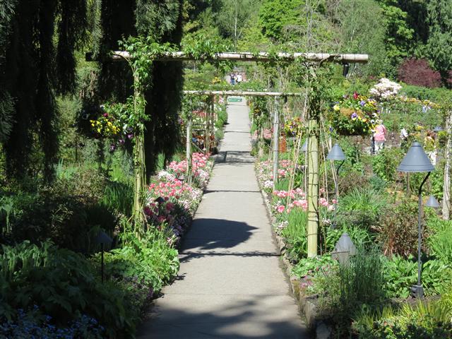 Beyond Flowers at Butchart Gardens north of Victoria, BC ( 7 of 28) (#0768)