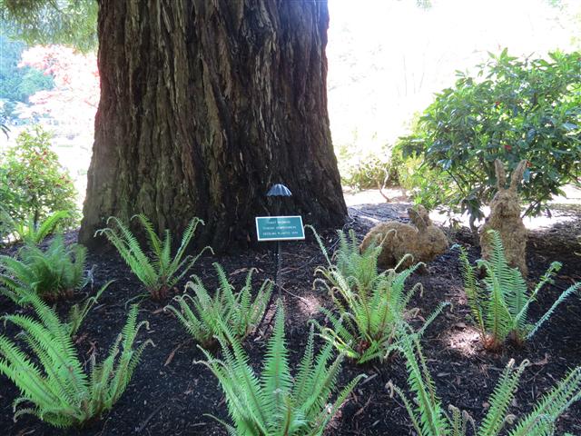 Beyond Flowers at Butchart Gardens north of Victoria, BC ( 10 of 28) (#0771)