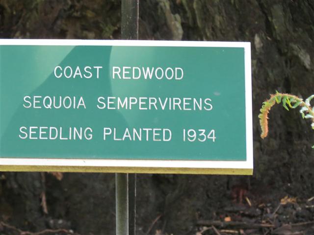 Beyond Flowers at Butchart Gardens north of Victoria, BC ( 9 of 28) (#0772)