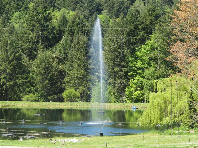 Beyond Flowers at Butchart Gardens north of Victoria, BC ( 12 of 28) (#0780)