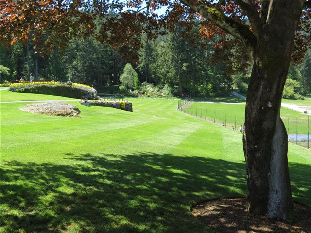 Beyond Flowers at Butchart Gardens north of Victoria, BC ( 14 of 28) (#0781)