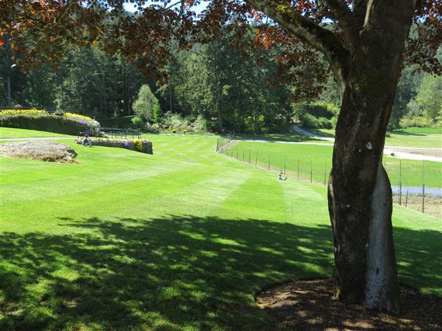 Beyond Flowers at Butchart Gardens north of Victoria, BC ( 15 of 28) (#0782)