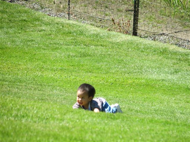 Beyond Flowers at Butchart Gardens north of Victoria, BC ( 16 of 28) (#0783)