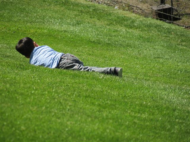 Beyond Flowers at Butchart Gardens north of Victoria, BC ( 17 of 28) (#0784)