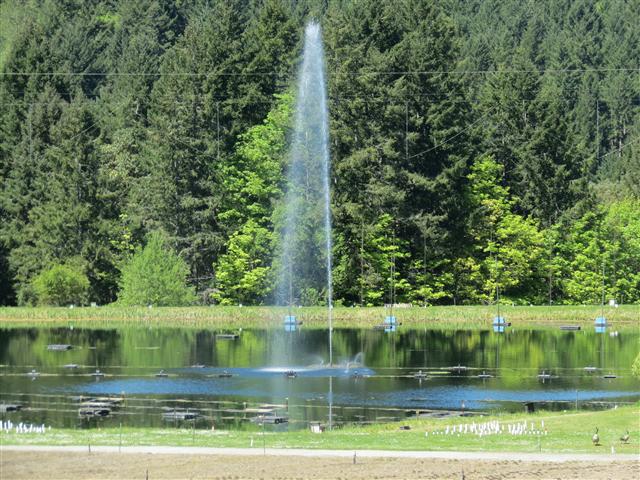 Beyond Flowers at Butchart Gardens north of Victoria, BC ( 13 of 28) (#0785)