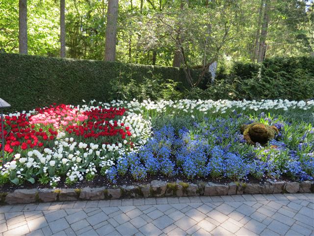 Flowers at Butchart Gardens north of Victoria, BC ( 42 of 70) (#0789)