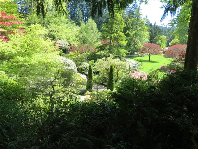Flowers at Butchart Gardens north of Victoria, BC ( 45 of 70) (#0792)