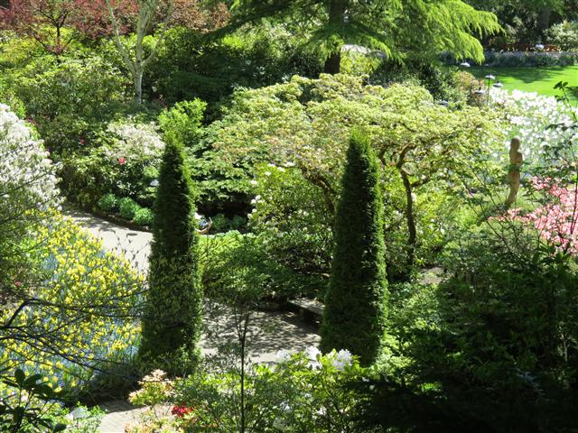 Flowers at Butchart Gardens north of Victoria, BC ( 46 of 70) (#0794)