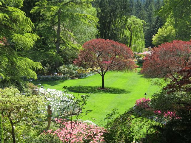 Flowers at Butchart Gardens north of Victoria, BC ( 47 of 70) (#0795)