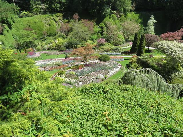 Flowers at Butchart Gardens north of Victoria, BC ( 50 of 70) (#0799)