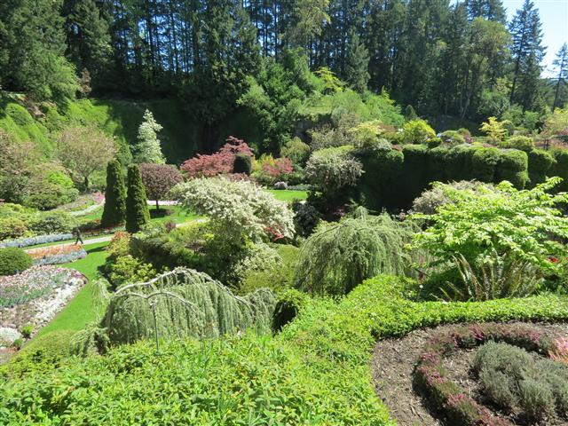 Flowers at Butchart Gardens north of Victoria, BC ( 51 of 70) (#0800)