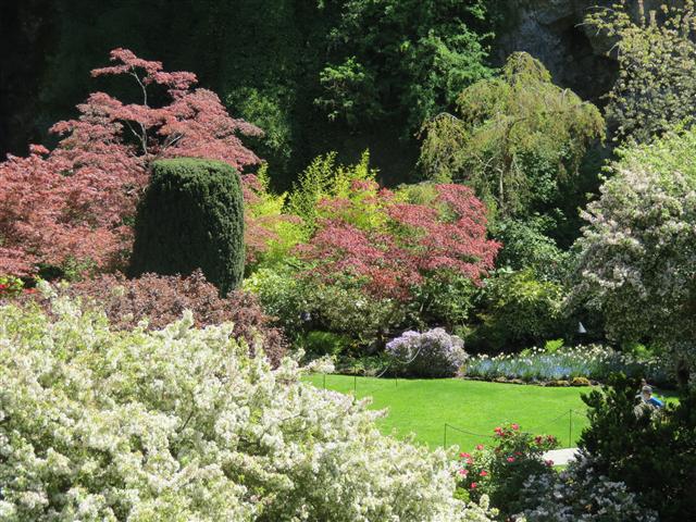 Flowers at Butchart Gardens north of Victoria, BC ( 52 of 70) (#0801)