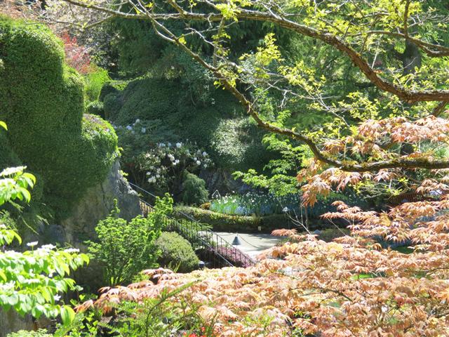 Flowers at Butchart Gardens north of Victoria, BC ( 53 of 70) (#0802)