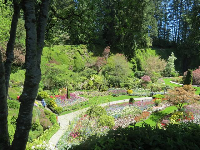 Flowers at Butchart Gardens north of Victoria, BC ( 55 of 70) (#0804)