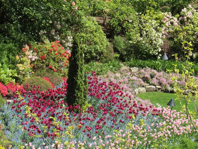 Flowers at Butchart Gardens north of Victoria, BC ( 56 of 70) (#0805)