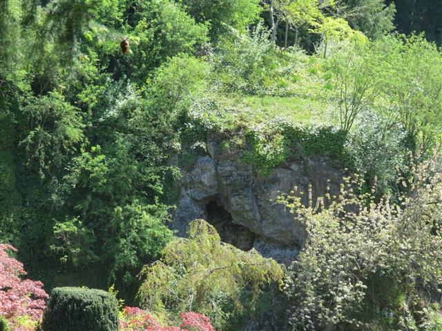 Flowers at Butchart Gardens north of Victoria, BC ( 58 of 70) (#0807)