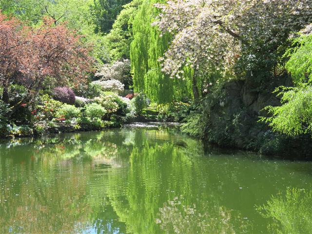 Flowers at Butchart Gardens north of Victoria, BC ( 60 of 70) (#0809)
