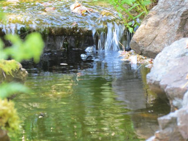 Beyond Flowers at Butchart Gardens north of Victoria, BC ( 22 of 28) (#0813)