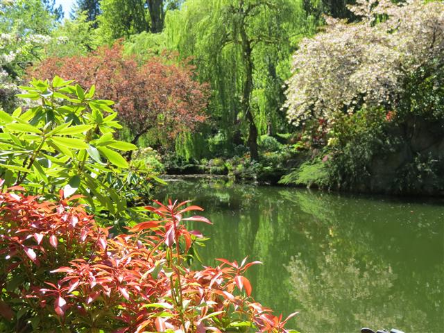Flowers at Butchart Gardens north of Victoria, BC ( 63 of 70) (#0814)