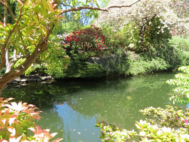 Flowers at Butchart Gardens north of Victoria, BC ( 67 of 70) (#0818)