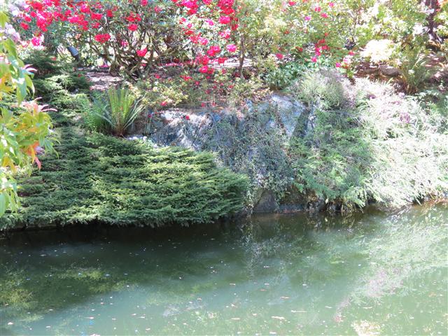 Flowers at Butchart Gardens north of Victoria, BC ( 68 of 70) (#0819)