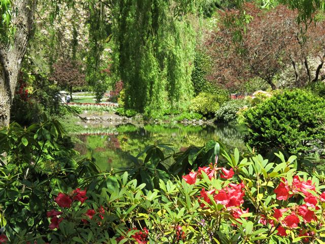 Flowers at Butchart Gardens north of Victoria, BC ( 70 of 70) (#0821)