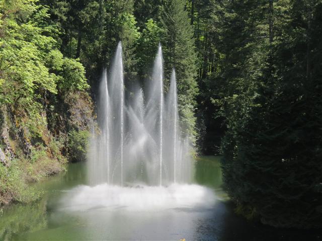 Beyond Flowers at Butchart Gardens north of Victoria, BC ( 24 of 28) (#0823)