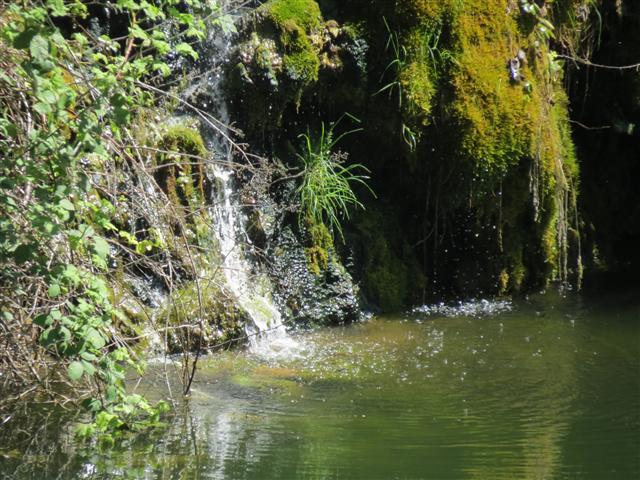 Beyond Flowers at Butchart Gardens north of Victoria, BC ( 28 of 28) (#0827)