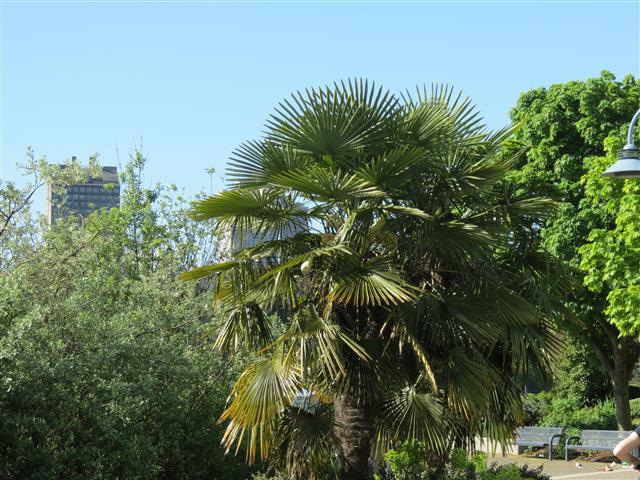 Sea Wall walk/bike path leading to Stanley Park in downtown Vancouver ( 3 of 19) (#0851)
