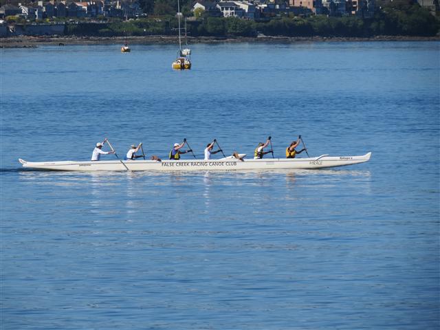 Sea Wall walk/bike path leading to Stanley Park in downtown Vancouver ( 8 of 19) (#0856)