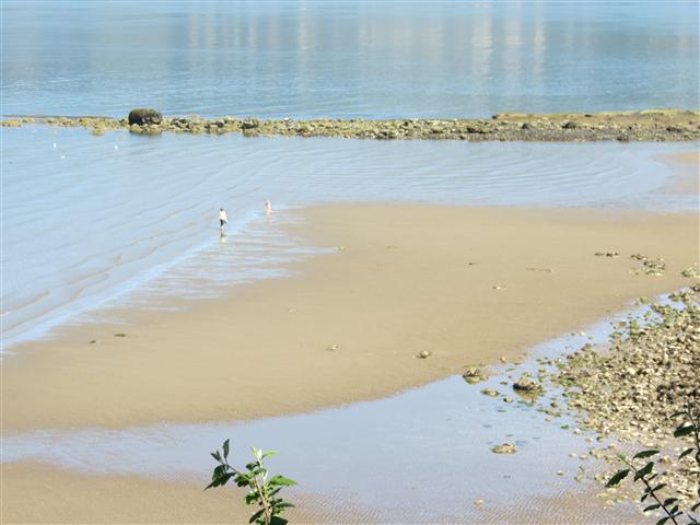 Sea Wall walk/bike path leading to Stanley Park in downtown Vancouver ( 12 of 19) (#0860)