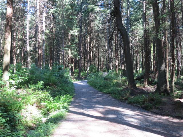 Sea Wall walk/bike path leading to Stanley Park in downtown Vancouver ( 16 of 19) (#0864)