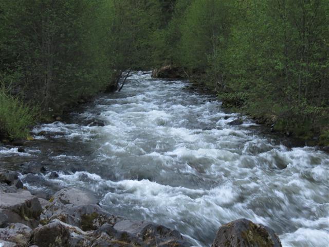 Raging mountain stream near Oakridge OR ( 1 of 2) (#0883)