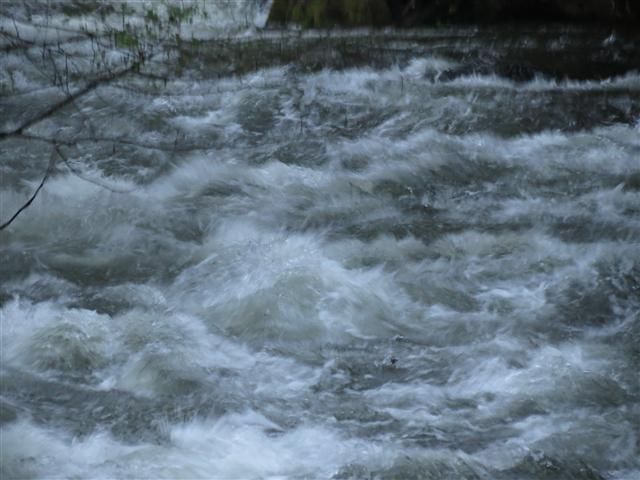 Raging mountain stream near Oakridge OR ( 2 of 2) (#0884)