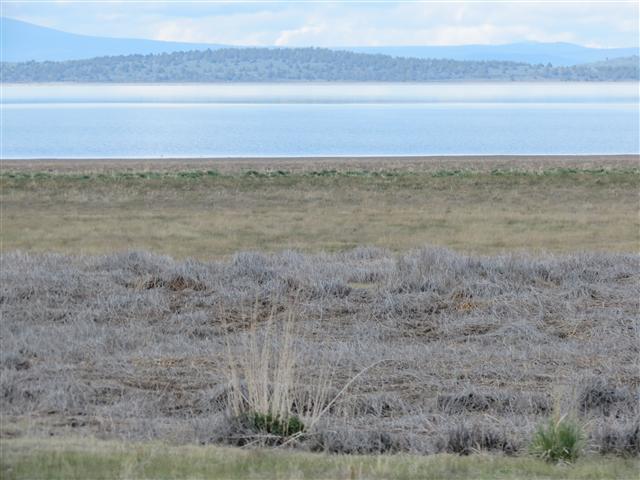 Eagle Lake north of Susanville CA ( 2 of 7) (#0889)