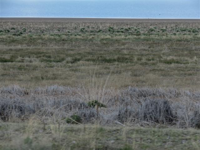 Eagle Lake north of Susanville CA ( 3 of 7) (#0891)