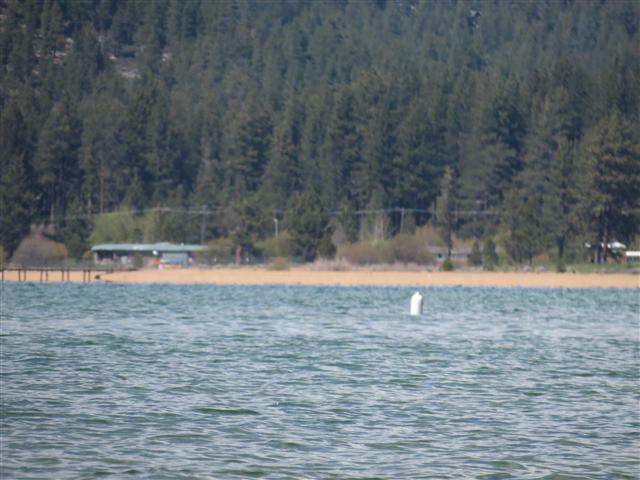 Lake Tahoe eastern shore in Nevada and South Lake Tahoe CA ( 25 of 29) (#0951)