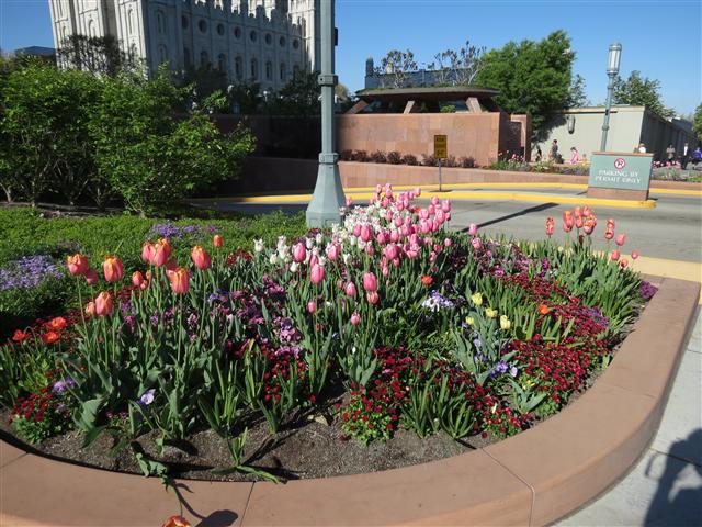 LDS Temple in Salt Lake City ( 6 of 6) (#0997)