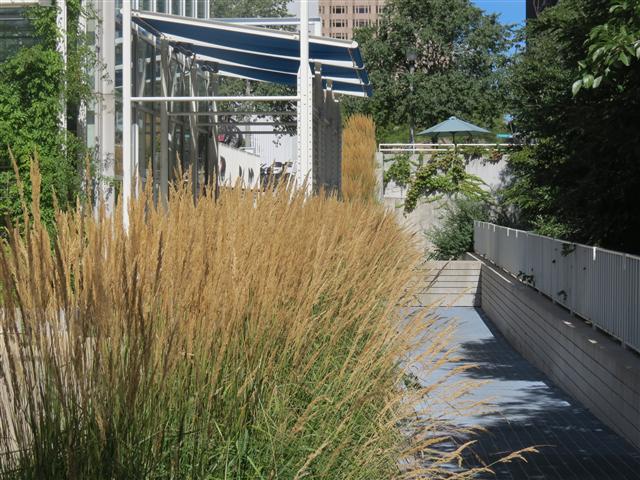 Millenium Park Miscellaneous in Chicago IL 2 of 3 (#1229)