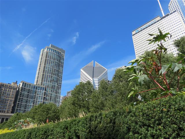 Chicago Skyline near Millenneum Park 3 of 6 (#1242)
