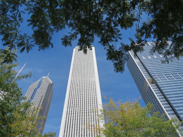Chicago Skyline near Millenneum Park 5 of 6 (#1245)