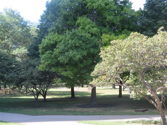 Lincoln Park in Chicago IL 1 of 2 (#1247)